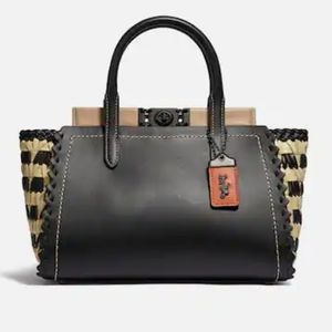 🦄 Rare Coach Troupe with weaving